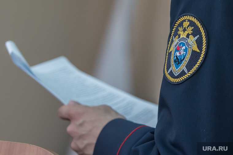 администратор Омбудсмен полиции Худяков признал вину