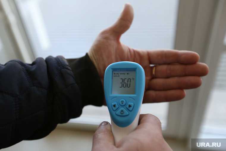 Измерение температуры тела тепловизором. Курган