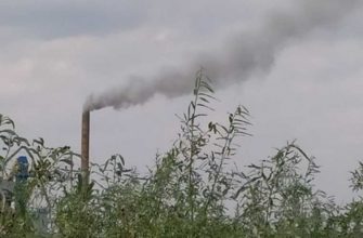 Алексей Шевцов общественник ЯНАО экология ЯНАО