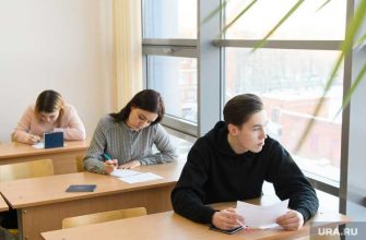 ПИЖТ доследственная проверка