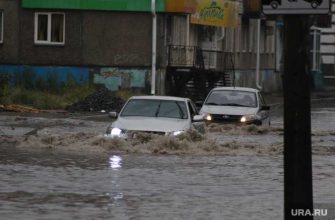 грозы в Курганской области