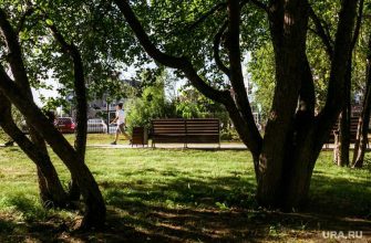 в Екатеринбурге демонтировали памятник в сквере