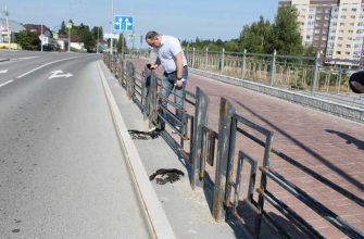 администрация Советский асфальт брак ХМАО