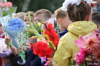 курганские линейки