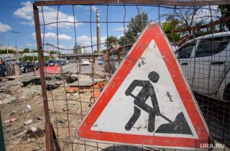 Екатеринбург заасфальтировали деревья