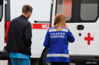 сотрудница таможни задекларировала 71 земельный участок