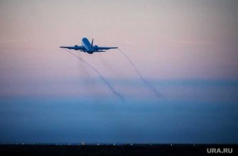 рейс аэрофлот Екатеринбург Москва птицы происшествие