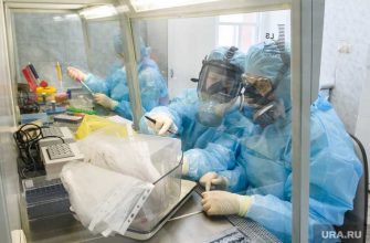 коллективный иммунитет к коронавирусу в Свердловской области