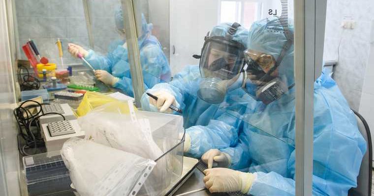 коллективный иммунитет к коронавирусу в Свердловской области