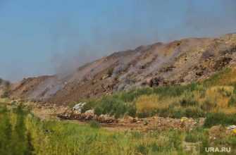 вред здоровью