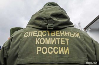 Нижегородская область убийство девочки