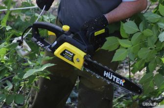 вырубка деревьев благоустройство Муравленко ЯНАО