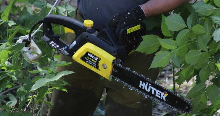 вырубка деревьев благоустройство Муравленко ЯНАО