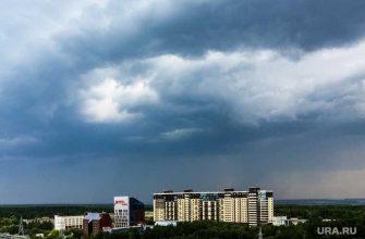 эколог об аномальном потеплении в России