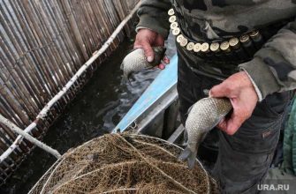 Ачиры Андреевское озеро РИзменеть гаффская болезнь