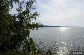 изменения план наццели Госдума