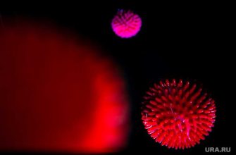 коронавирус мутирует