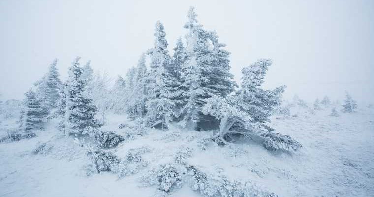 погода сегодня