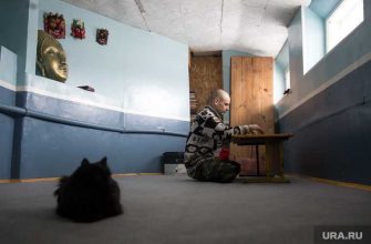 Качканар буддисты ГОК конфликт