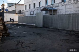 ИК 10 коронавирус