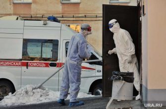 курганские медики