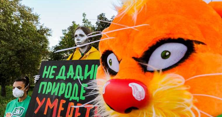 пермский край партия