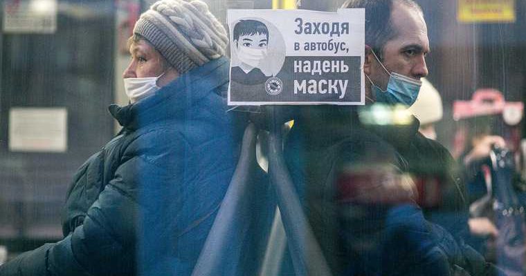 коронавирус статистика