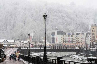 популярные направления