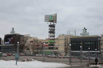 пермь новости 22 декабря