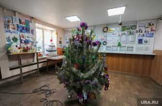 Челябнская область пандемия коронавируса запрет на мероприятия