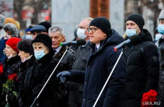 Челябинская область масочный режим проверки