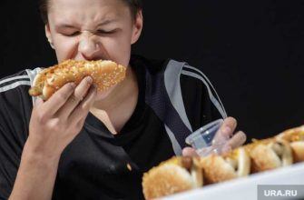 вредные продукты жирная сладкая пища