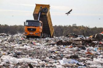 Вице премьер Абрамченко рассказала о победе в экологии Челябинска