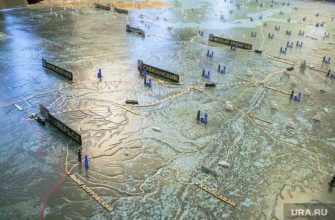 Станислав Дейнеко политолог