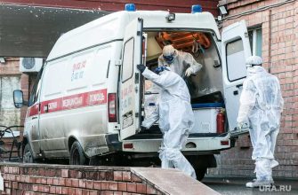 прогноз по коронавирусу