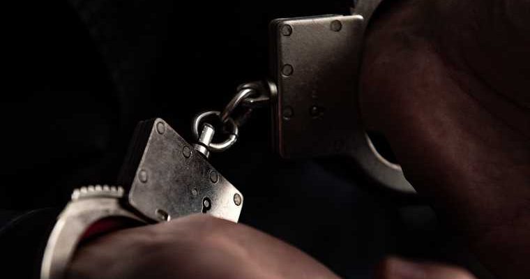 Григорий Карамалак задержание Домодедово