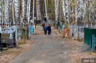 Челябинск городская дума заседание Успенское кладбище расширение границ спорт поликлиника захоронение похороны коронавирус