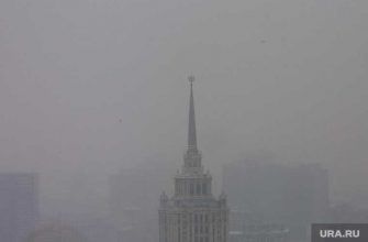 погодная опасность Московская область туман гололедица Москва погода