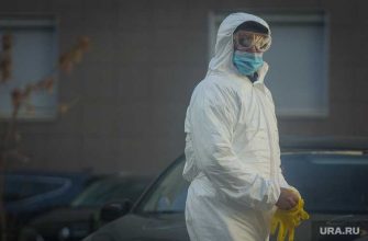 Коронавирус число сегодня пандемия