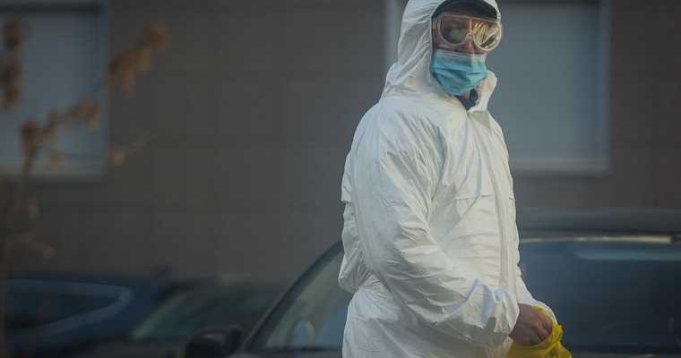 Коронавирус число сегодня пандемия