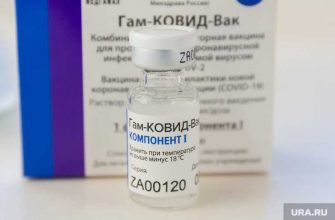 в ЯНАО оборудовали 59 пунктов для вакцинации от коронавируса