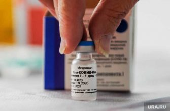 вакцинация