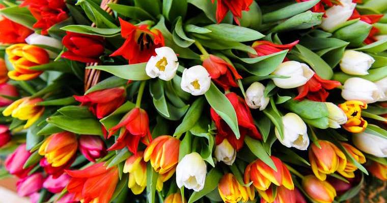 Аналитики предлагают россиянам праздновать 8 марта в Воронеже