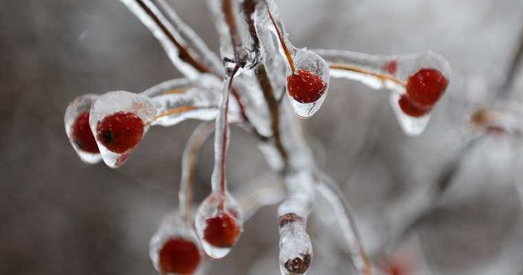 Погода москва гололедица росгидрометцентр
