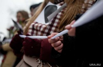 Цепь солидарности дарья серенко олег матвейчев мужское государство угрозы