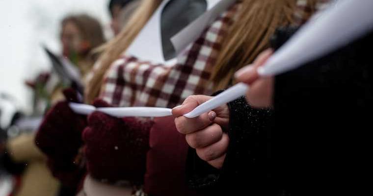 Цепь солидарности дарья серенко олег матвейчев мужское государство угрозы