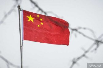 МИД дипломат вез телегу до границы