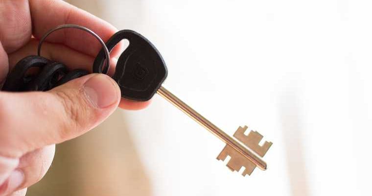 вера новикова это кто