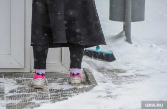 зима погода морозы снег снегопад отмена занятий