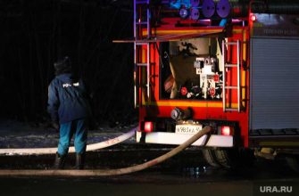 Кошки Курган